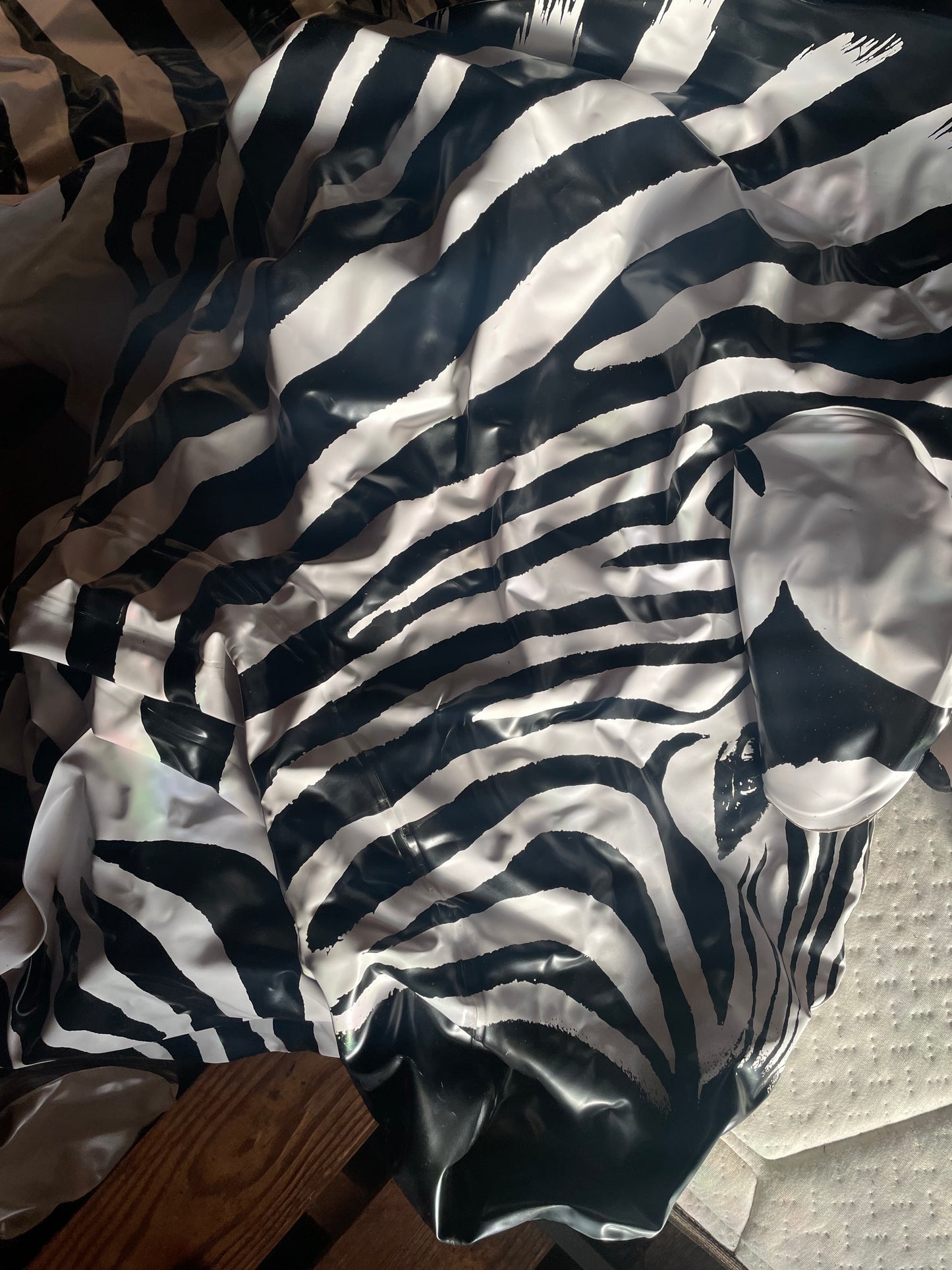Vintage lifelike zebra