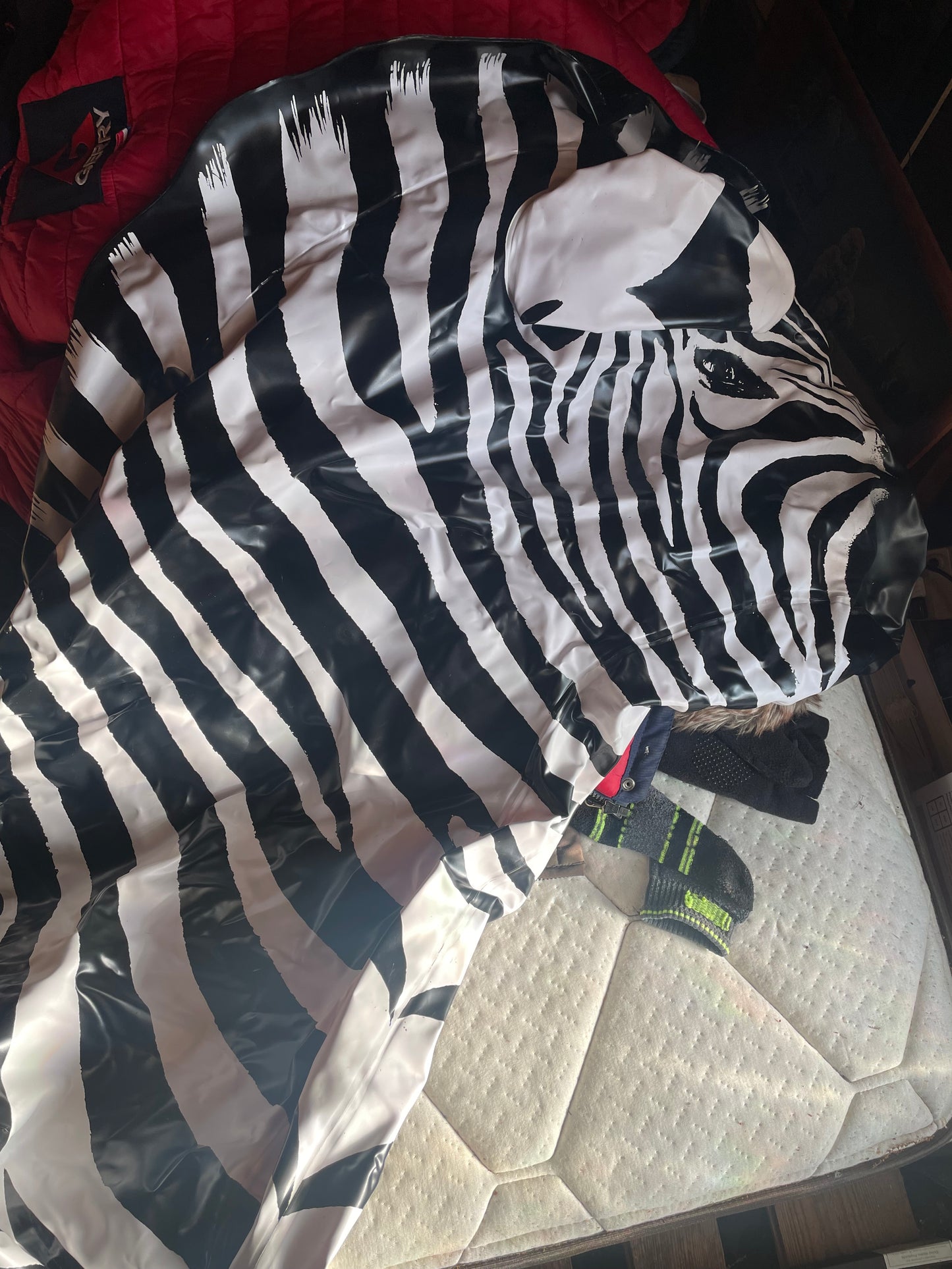 Vintage lifelike zebra
