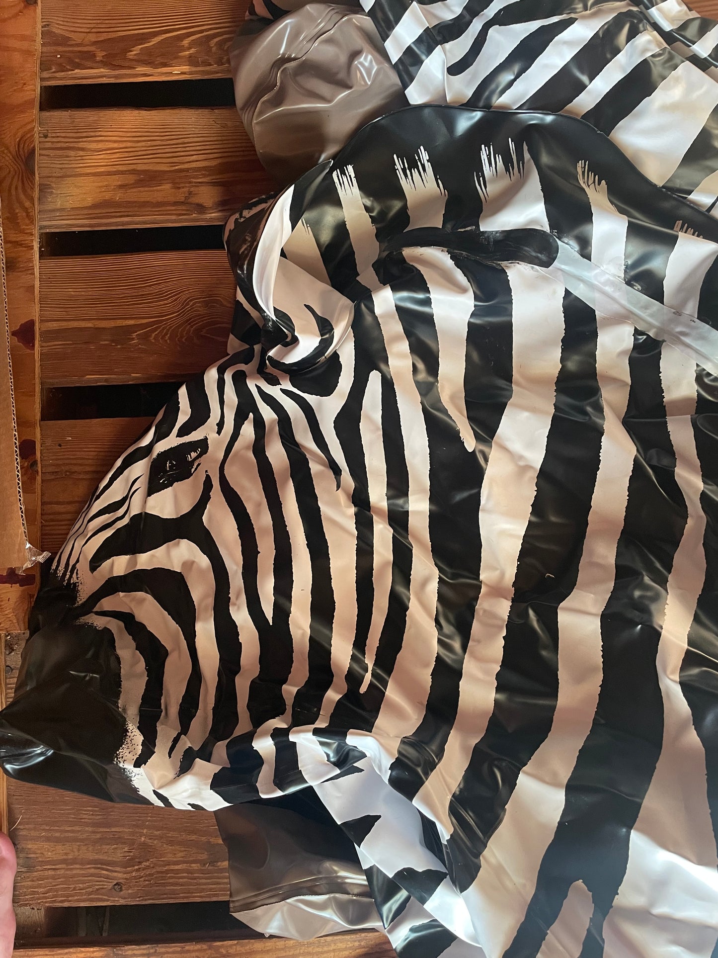 Vintage lifelike zebra