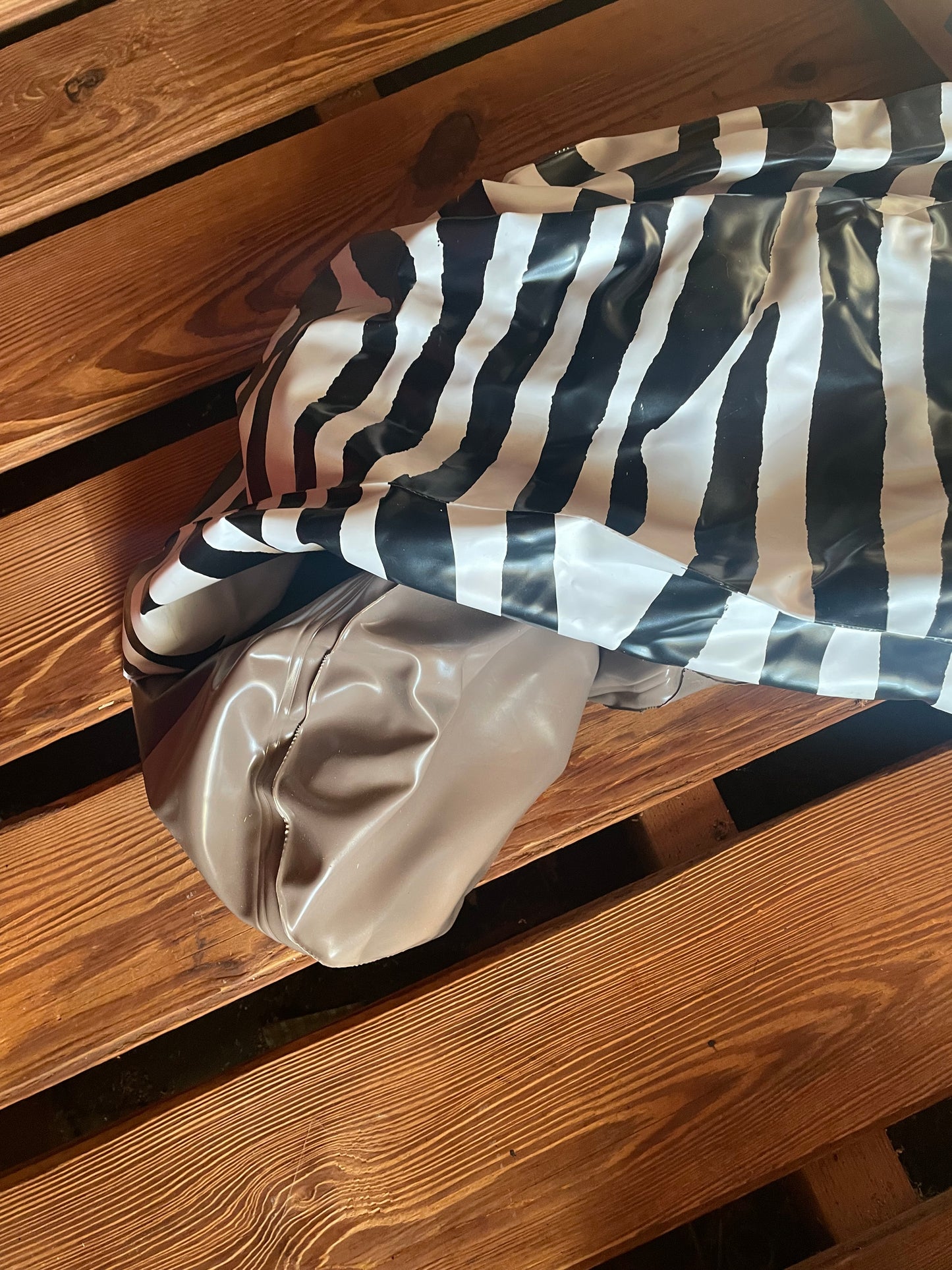 Vintage lifelike zebra