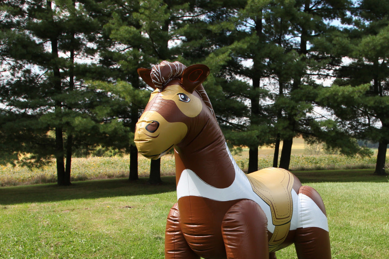 VBS Lifeway pony