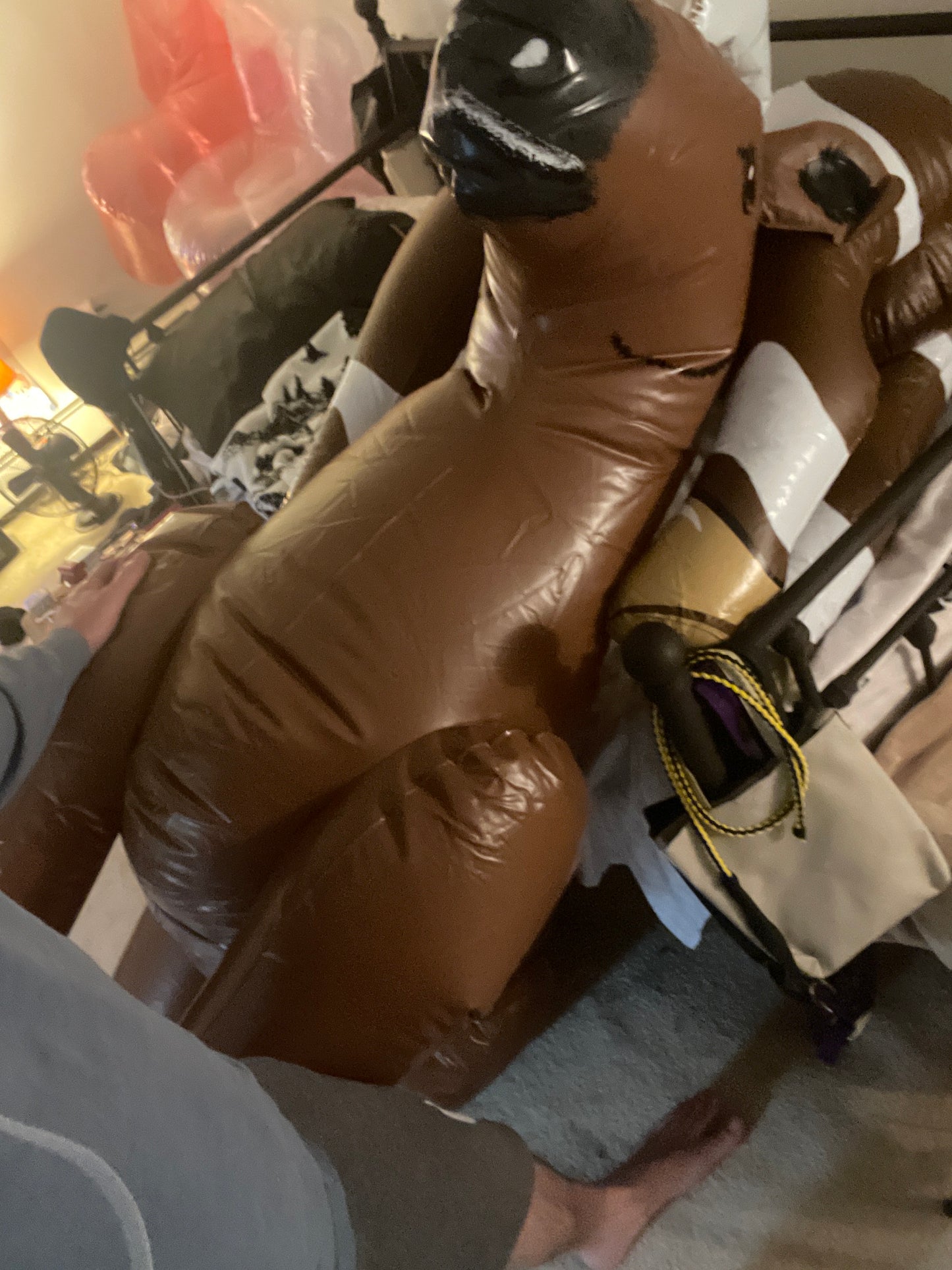 Iw classic horse vids