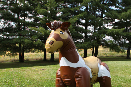 VBS Lifeway pony