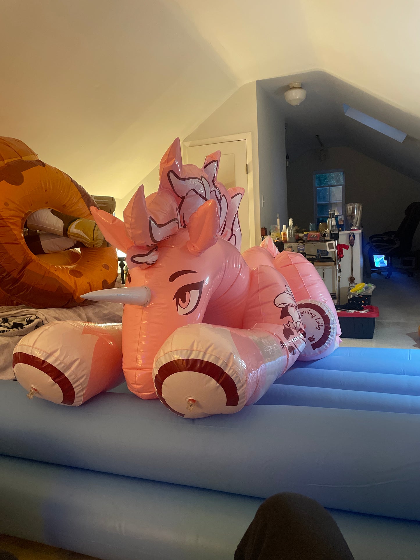 Spring Lily video “The Einhorn”